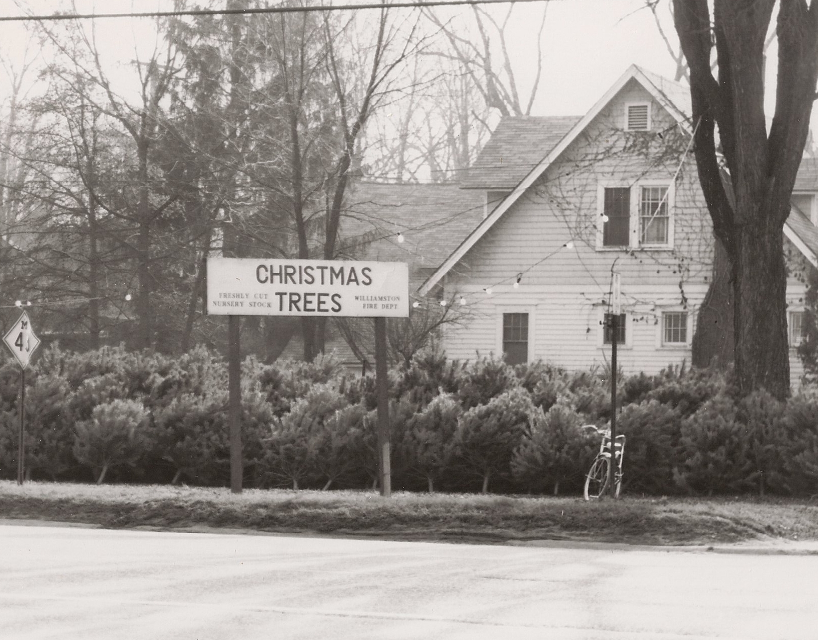 Christmas Trees